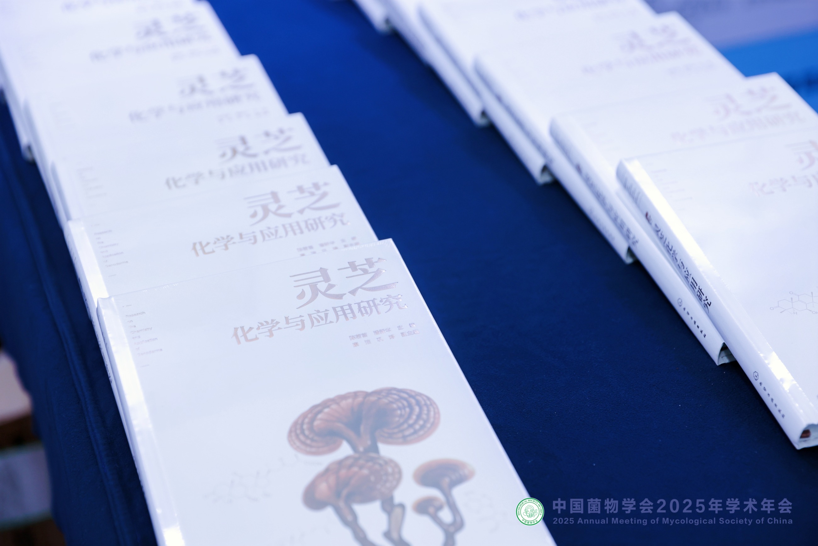 杭州亞運會官方靈芝產(chǎn)品供應(yīng)商|杭州亞運會官方供應(yīng)商|中國靈芝十大品牌|仙客來靈芝|仙客來靈芝破壁孢子粉|仙客來孢子油|仙客來靈芝飲片|仙客來破壁孢子粉|靈芝孢子油|孢子粉|靈芝破壁孢子粉|靈芝|中華老字號