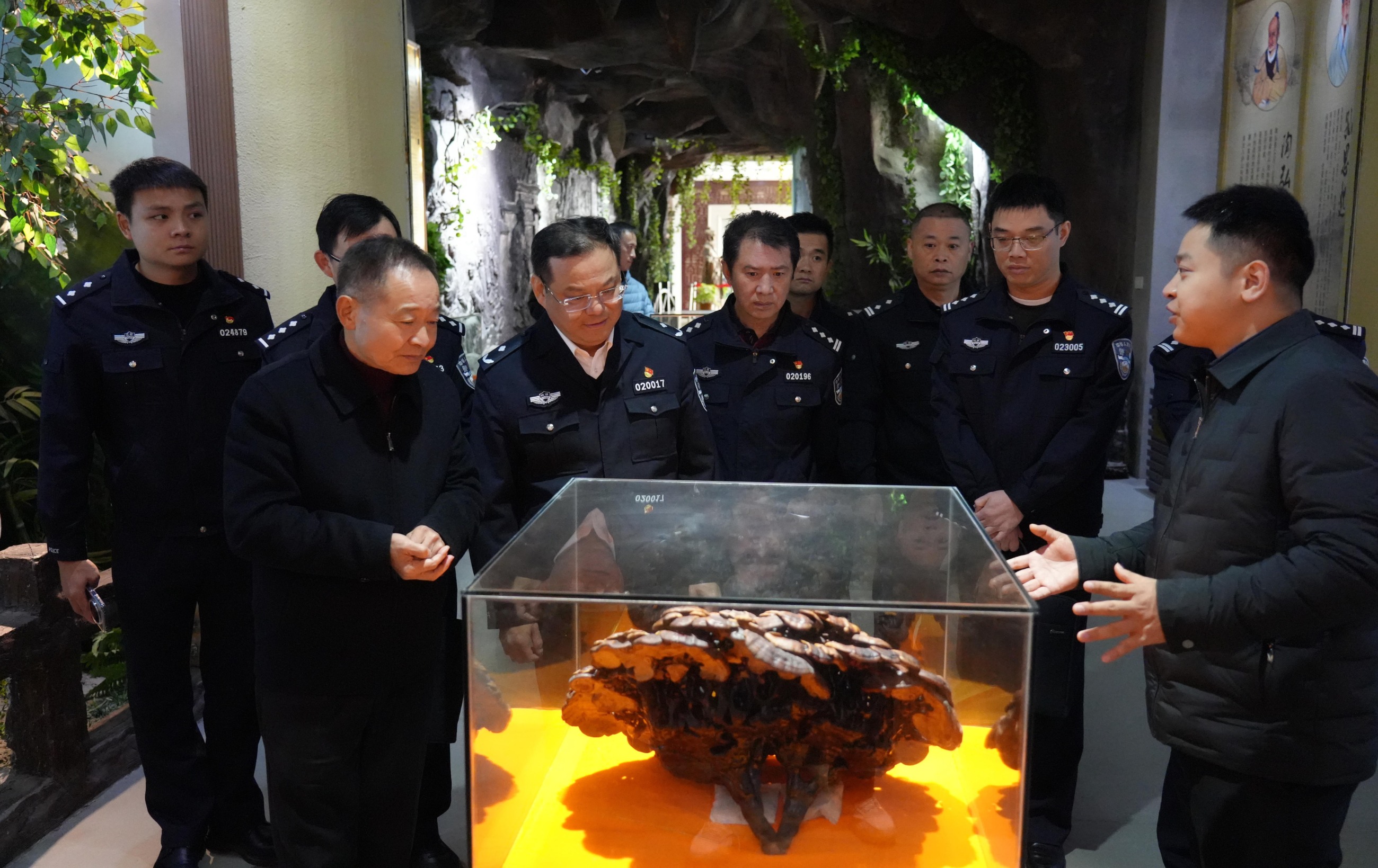 杭州亞運(yùn)會(huì)官方靈芝產(chǎn)品供應(yīng)商|杭州亞運(yùn)會(huì)官方供應(yīng)商|中國靈芝十大品牌|仙客來靈芝|仙客來靈芝破壁孢子粉|仙客來孢子油|仙客來靈芝飲片|仙客來破壁孢子粉|靈芝孢子油|孢子粉|靈芝破壁孢子粉|靈芝|中華老字號(hào)