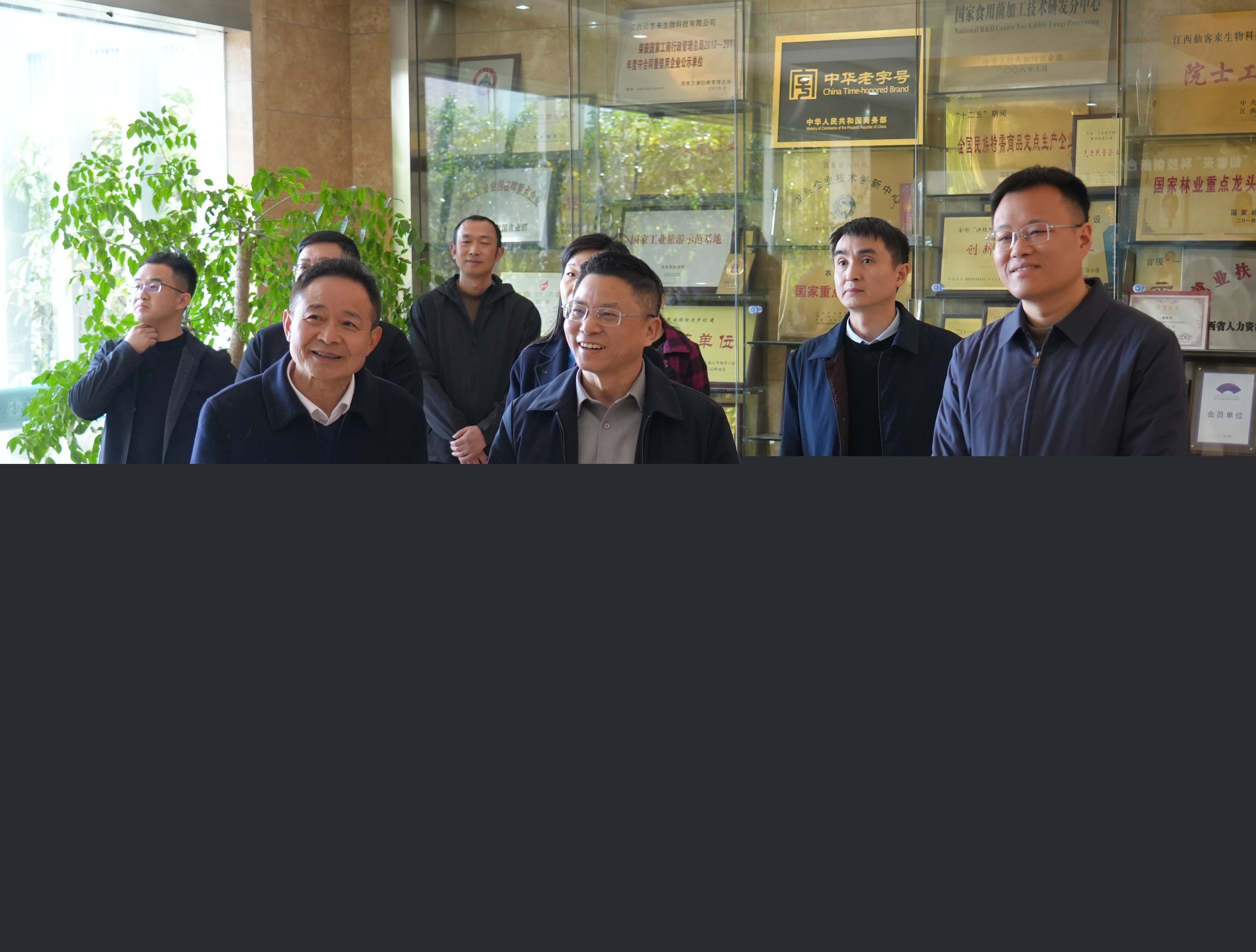 杭州亞運(yùn)會(huì)官方靈芝產(chǎn)品供應(yīng)商|杭州亞運(yùn)會(huì)官方供應(yīng)商|中國(guó)靈芝十大品牌|仙客來靈芝|仙客來靈芝破壁孢子粉|仙客來孢子油|仙客來靈芝飲片|仙客來破壁孢子粉|靈芝孢子油|孢子粉|靈芝破壁孢子粉|靈芝|中華老字號(hào)