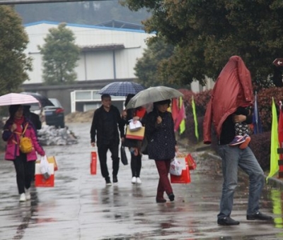 九江暴雨，仙客來“暴游”