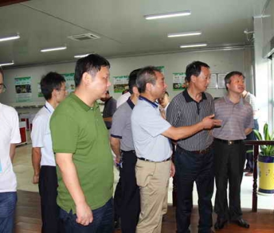 德安縣委、人大、政協(xié)領導考察仙客來公司