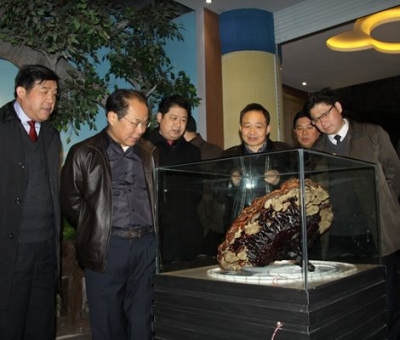 市委常委、宣傳部長(zhǎng)潘熙寧，副市長(zhǎng)盧天錫蒞臨仙客來(lái)公司走訪