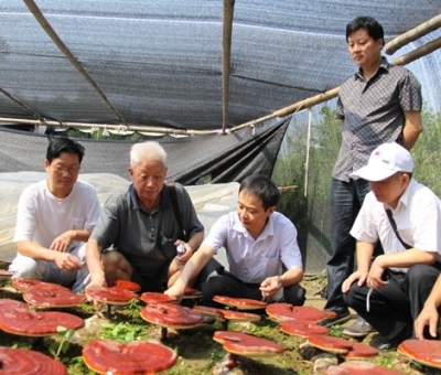 仙客來產(chǎn)業(yè)園景區(qū)獲批三產(chǎn)融合旅游國(guó)家級(jí)3A景區(qū)