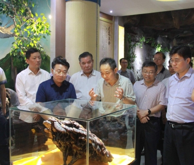 &ldquo;降成本，優(yōu)環(huán)境&rdquo;助企業(yè)騰飛&mdash;&mdash;江西省政協(xié)副主席率團(tuán)調(diào)研仙客來！