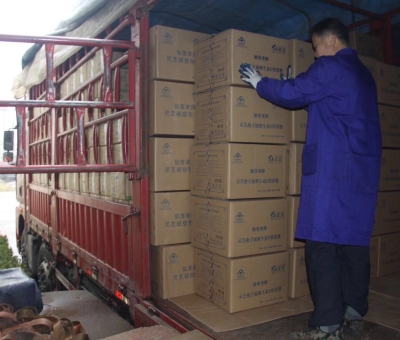 【4天加班15次缺貨】只為人皆有“芝”！