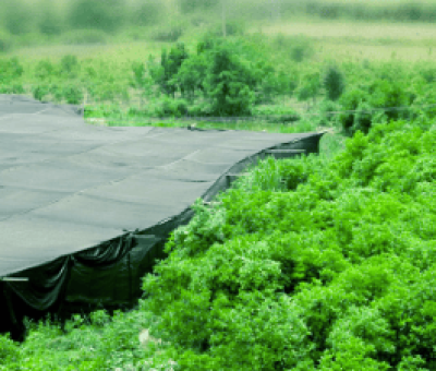 感謝廬山吧，這會(huì)是一場(chǎng)“仙旅情緣”