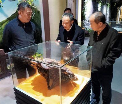 中華全國供銷合作總社原副主任戴公興一行蒞臨仙客來公司視察指導(dǎo)