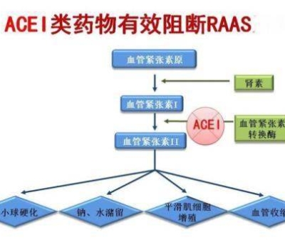 不吃藥，能降低高血壓？