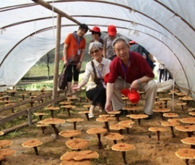 “七一勛章”獲得者張桂梅背后的故事：他們將靈芝磨成粉，送給她拌飯吃，說，吃這些能治病