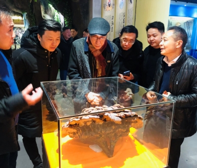 著名音樂(lè)家吳頌今參觀(guān)采風(fēng)“仙客來(lái)”