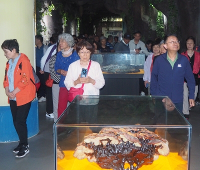 深深靈芝情！中華全國供銷合作總社再訪仙客來