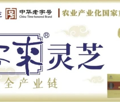 贊助商-仙客來靈芝，為健康加油